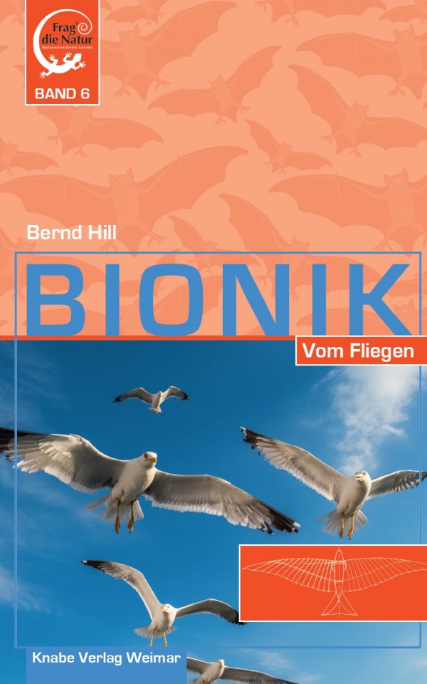 Bionik VI. Vom Fliegen
