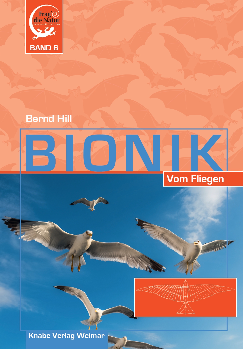 Bionik VI. Vom Fliegen