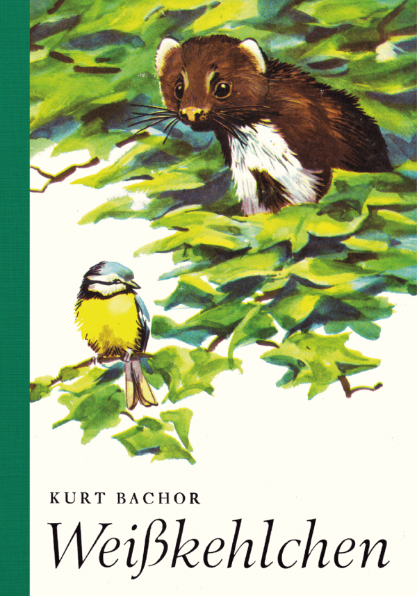Illustrierter Steinmarder mit weißer Kehle blickt aus grünem Blätterdach herab; darunter sitzt ein kleiner gelb-blauer Vogel auf einem Ast. Buchcover mit Titel „Weißkehlchen“ von Kurt Bachor.